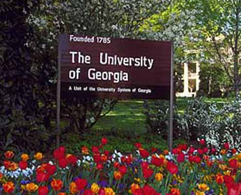دانشگاه های گرجستان