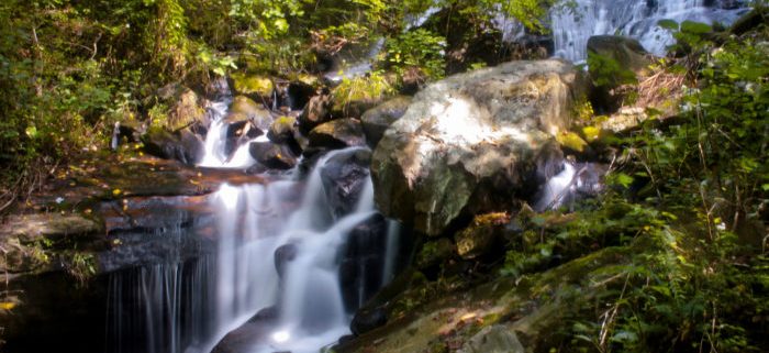 پارک ایالتی آبشار آمیکالولا